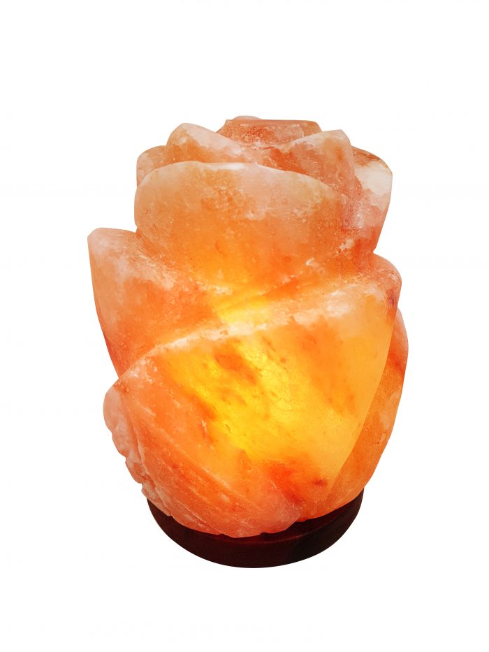 Carved Rose Orange Himalayan Salt Lamp