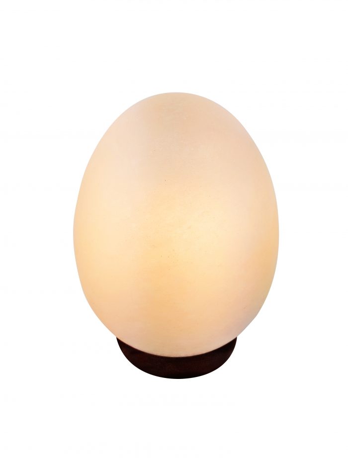 Oval Shaped Smooth White Himalayan Salt Lamp