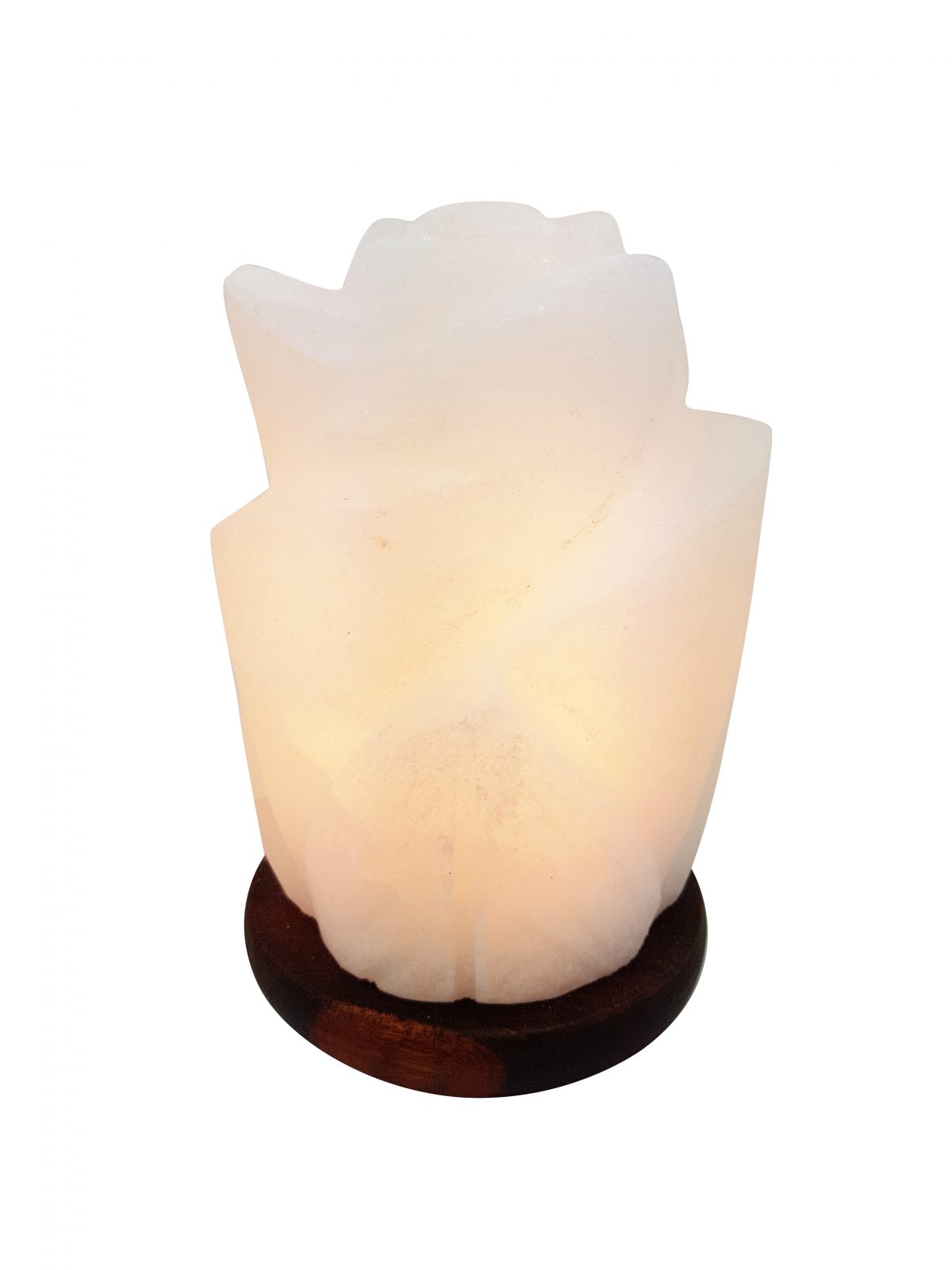 white-carved-salt-lamp-emba-himalayan-salt-lamps