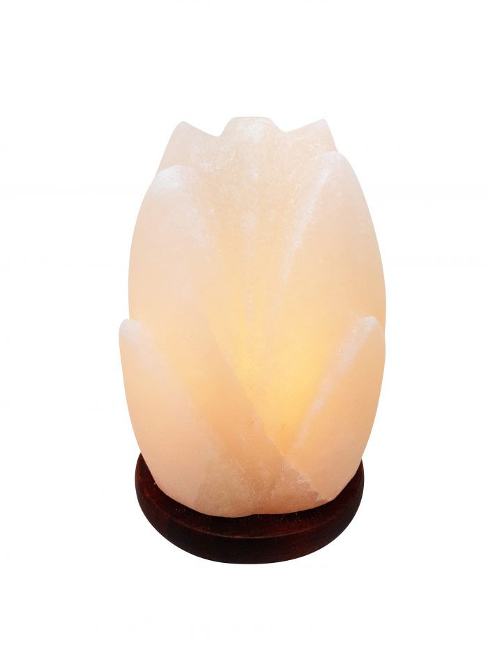 Dutch White Flower Himalayan Salt Lamp