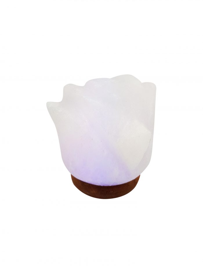 White Flower Led Multi Color Lights Himalayan Salt Lamp