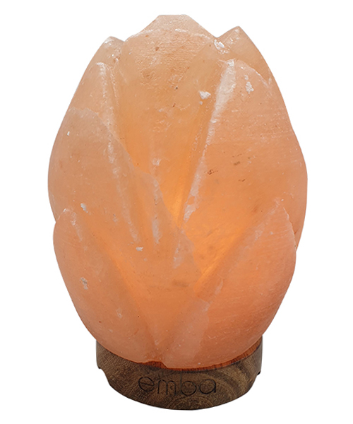 light-orange-carved-salt-lamp-esl140