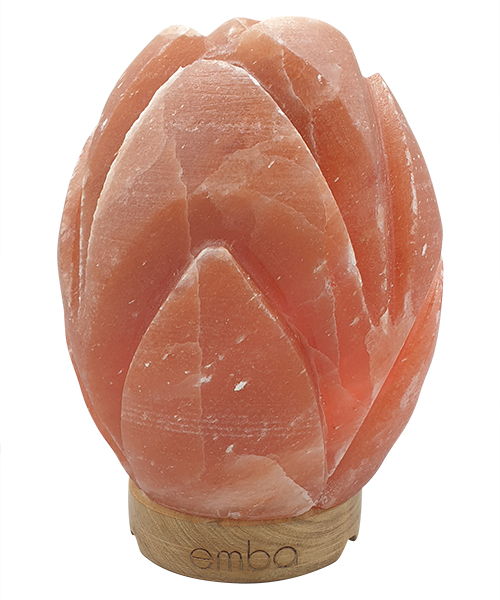pink-carved-salt-lamp-esl116
