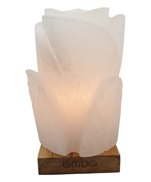 white-carved-salt-lamp-esl131