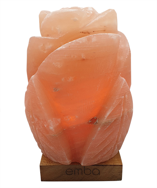 light-orange-carved-salt-lamp-esl141